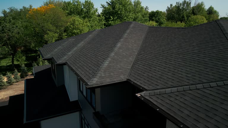 Best Roof Moss and Algae Removal  in Hillsborough, CA
